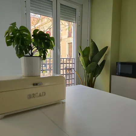 Heylola! Barcelona