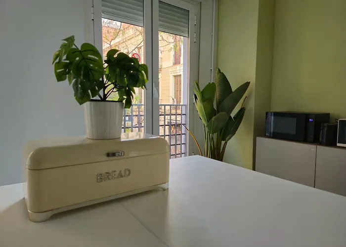 Heylola! Barcelona
